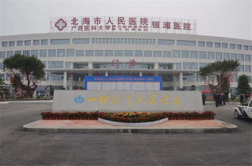 2017年北海房地產市場年報 北海大事件篇