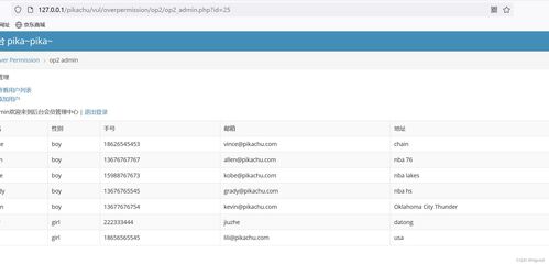 網(wǎng)絡(luò)安全第八天 文件上傳漏洞、目錄遍歷與PHP反序列化深度解析